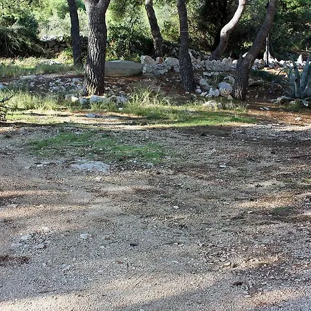 Apartamento Rogoznica 3199a Rogoznica (Sibenik-Knin)